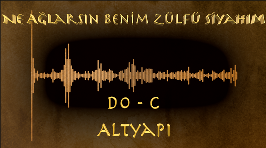 Ne Ağlarsın Benim Zülfü Siyahım - (Do - C)